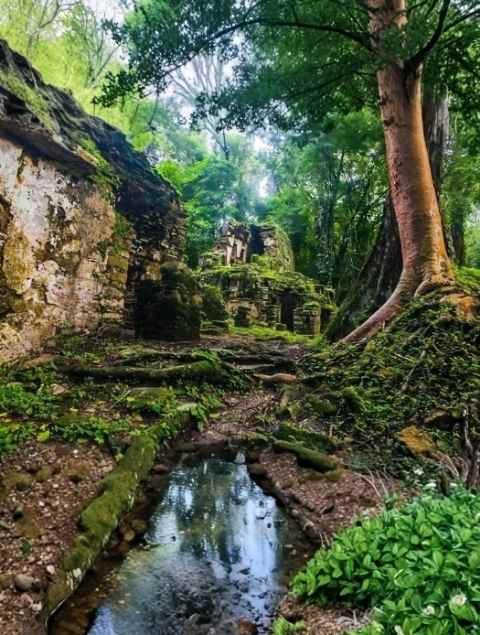 Watu Expediciones Selva Maya 1